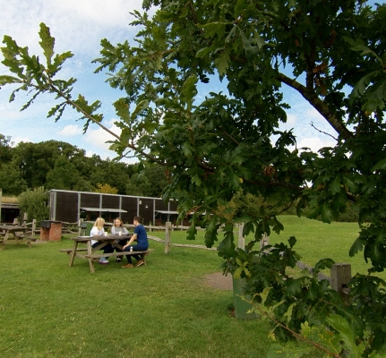 Diabetes Worcestershire